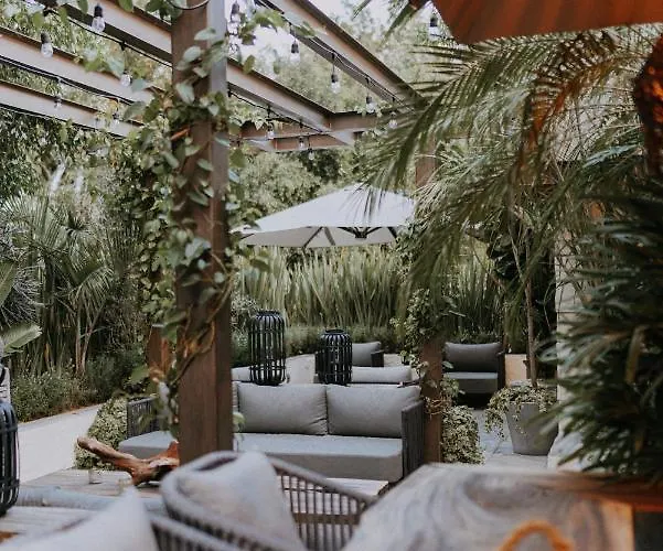 ホテル Casa Luciana Condesa 5*