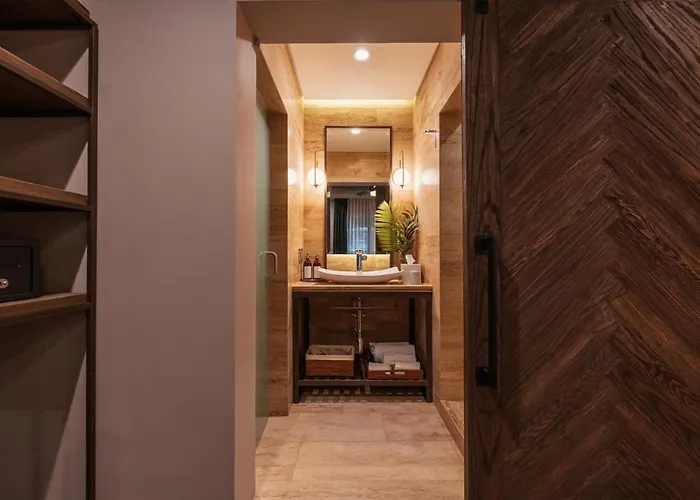 Casa Luciana Condesa 5* Mexico City